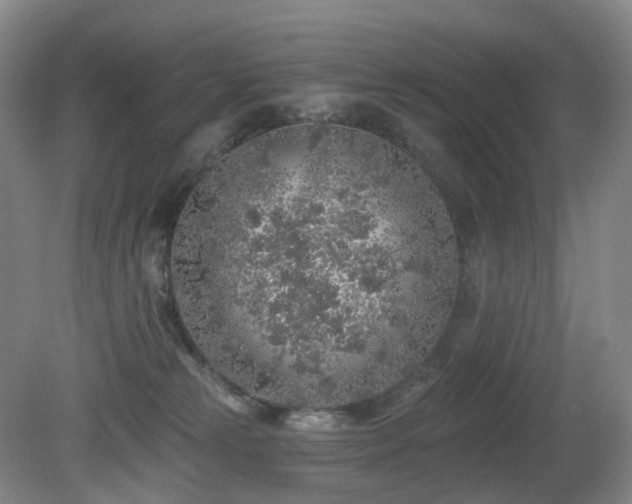 X0000081600181200701151348