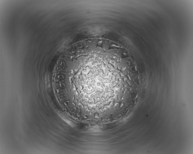 X0000081600182200701151349