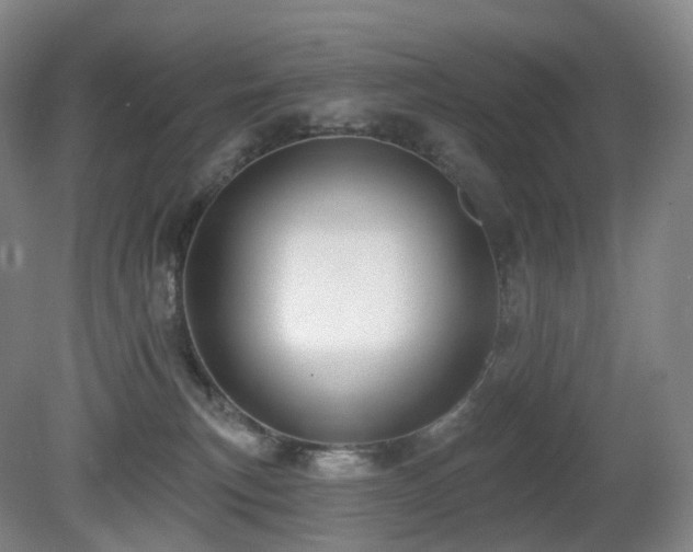 X0000081600183200701151349