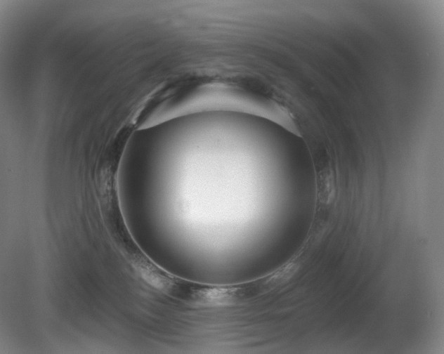 X0000081600184200701151349