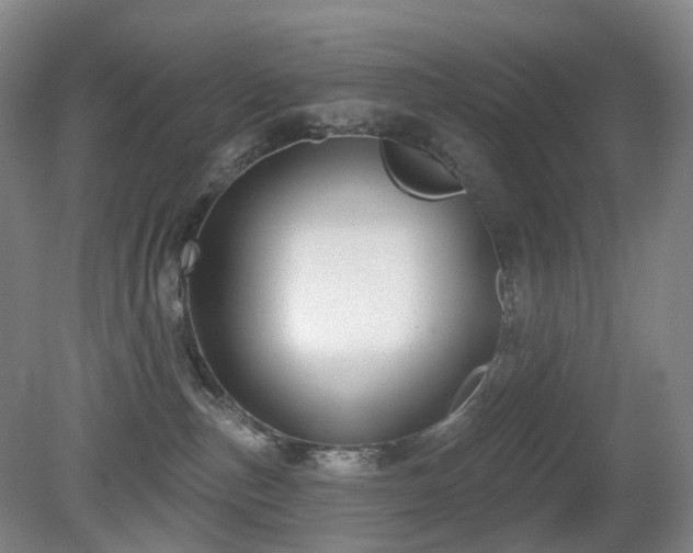 X0000081600187200701151349