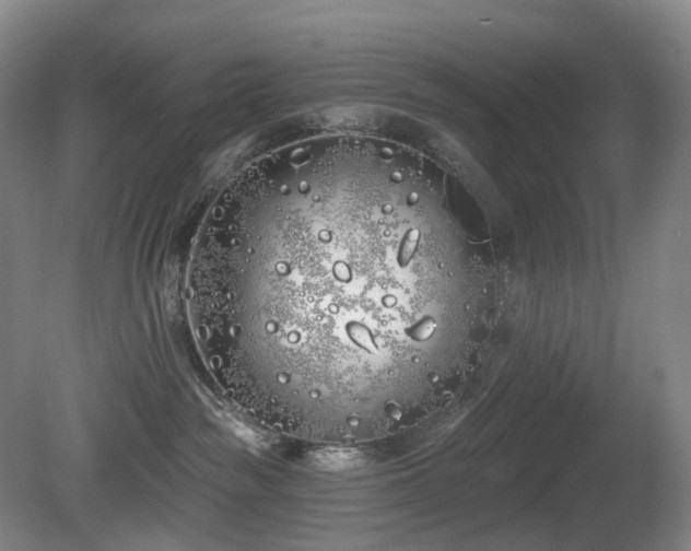 X0000081600189200701151349