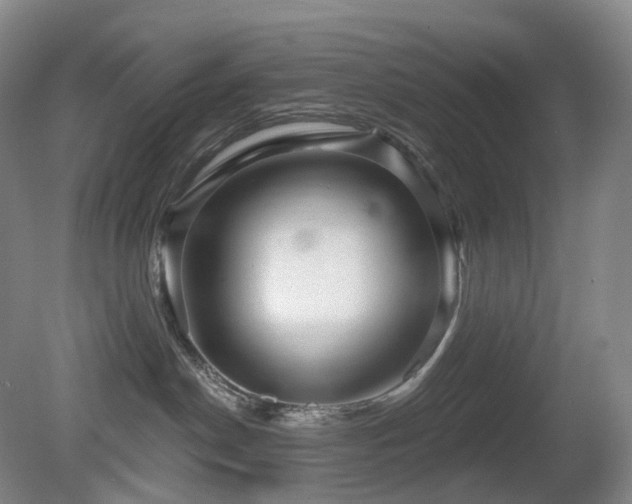 X0000081600190200701151349