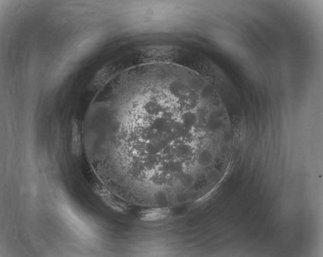 X0000081600191200701151349