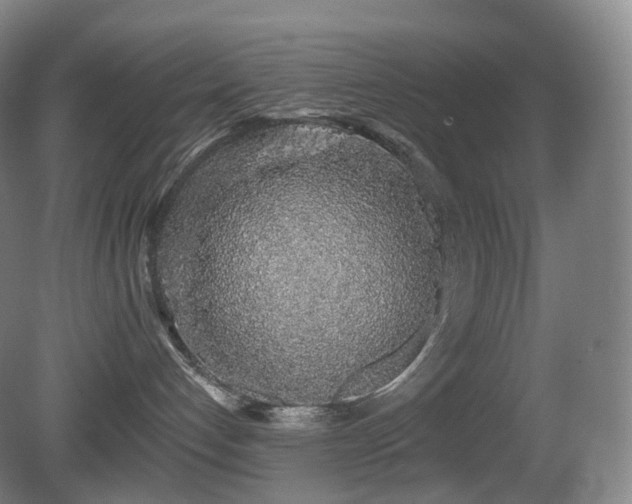 X0000081600192200701151349