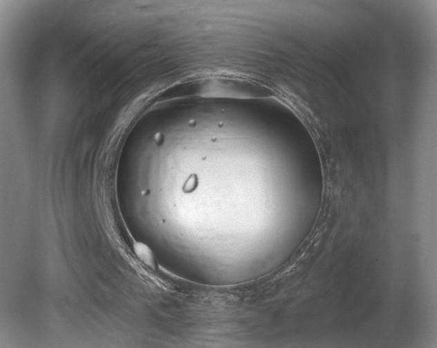 X0000081600193200701151348