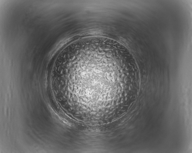 X0000081600194200701151348