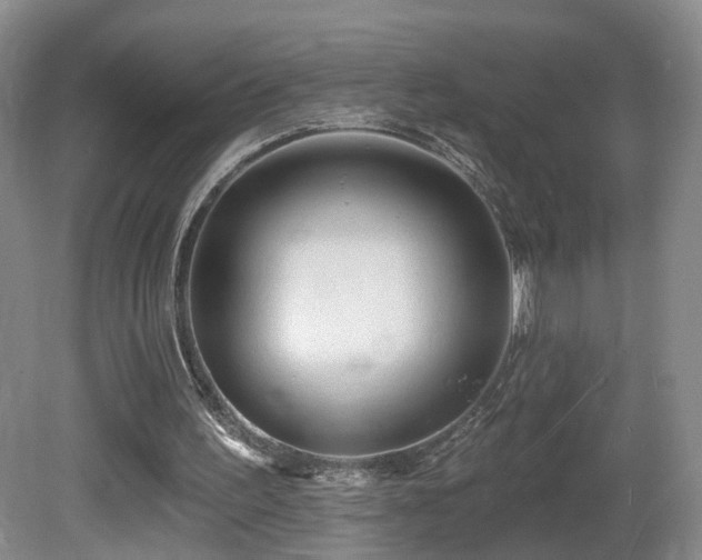 X0000081600195200701151348