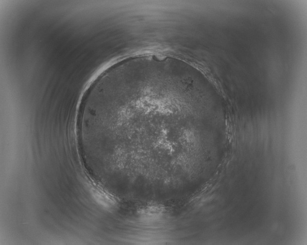 X0000081600196200701151348