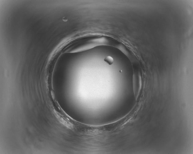 X0000081600197200701151348