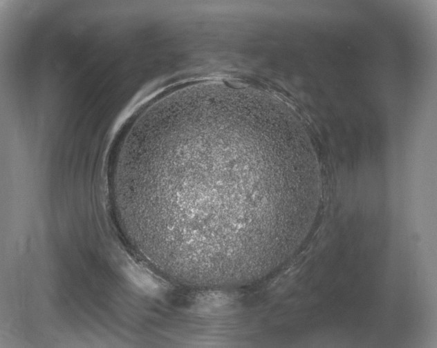 X0000081600198200701151348