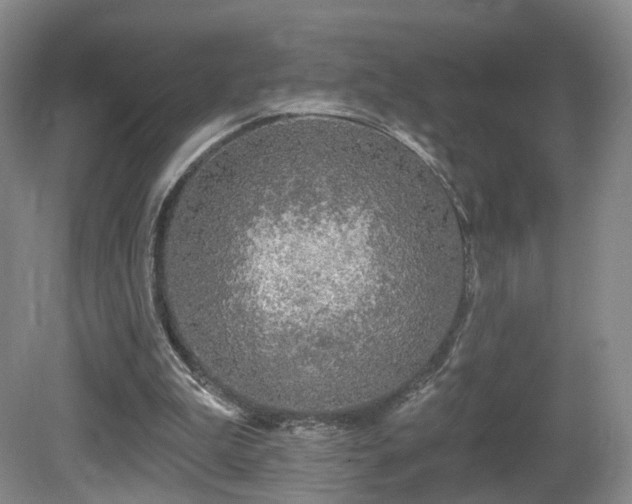 X0000081600199200701151348