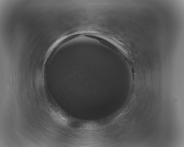 X0000081600200200701151348