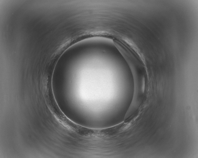 X0000081600201200701151348