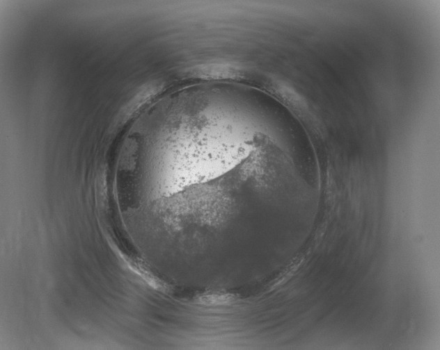 X0000081600202200701151348