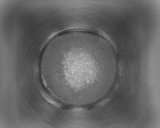 X0000081600203200701151348