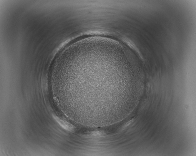 X0000081600204200701151348