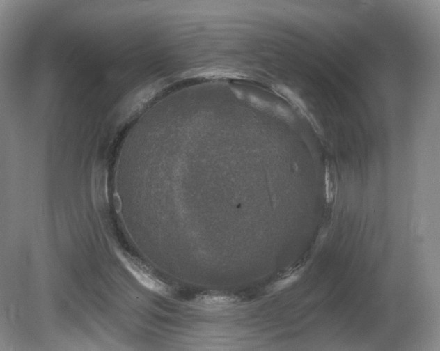 X0000081600205200701151348