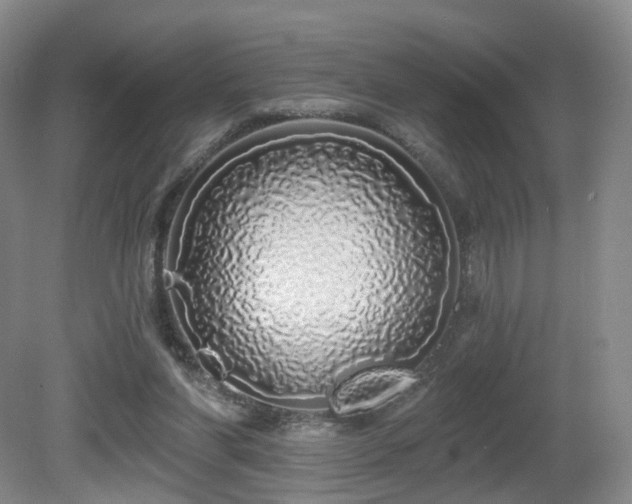 X0000081600206200701151348