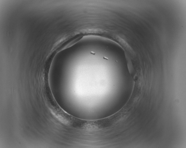 X0000081600207200701151348