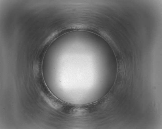 X0000081600208200701151348