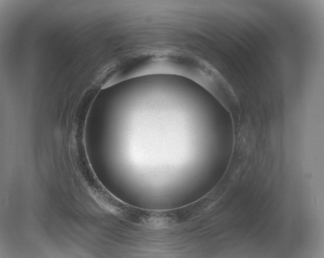 X0000081600209200701151348