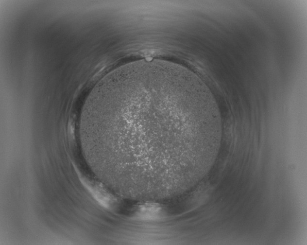 X0000081600214200701151348