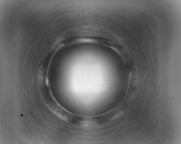 X0000081600215200701151347