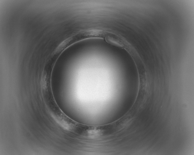 X0000081600216200701151347