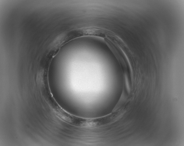 X0000081600217200701151347