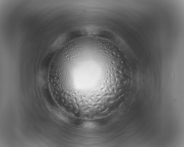 X0000081600218200701151347