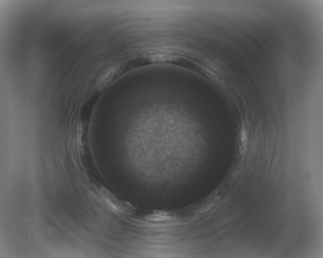 X0000081600219200701151347