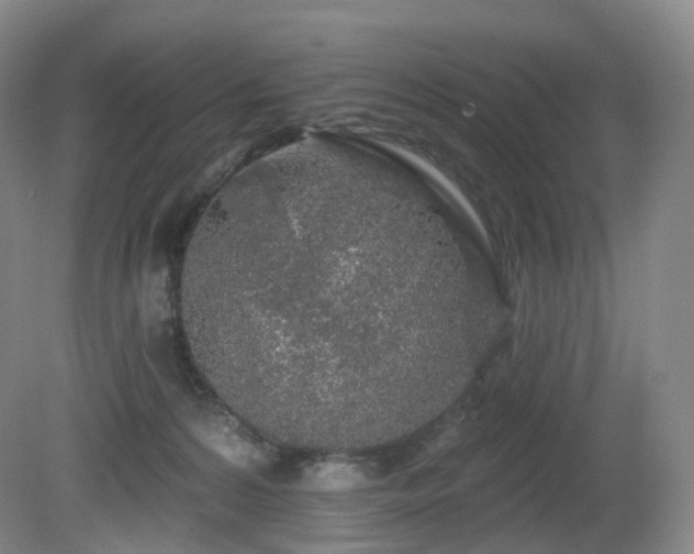 X0000081600224200701151347