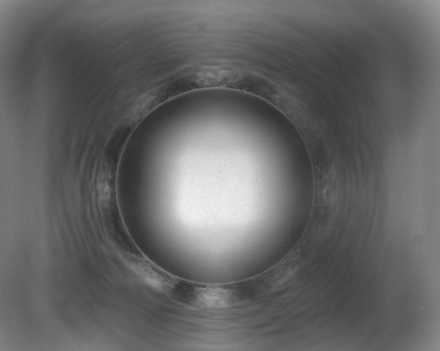 X0000081600226200701151347