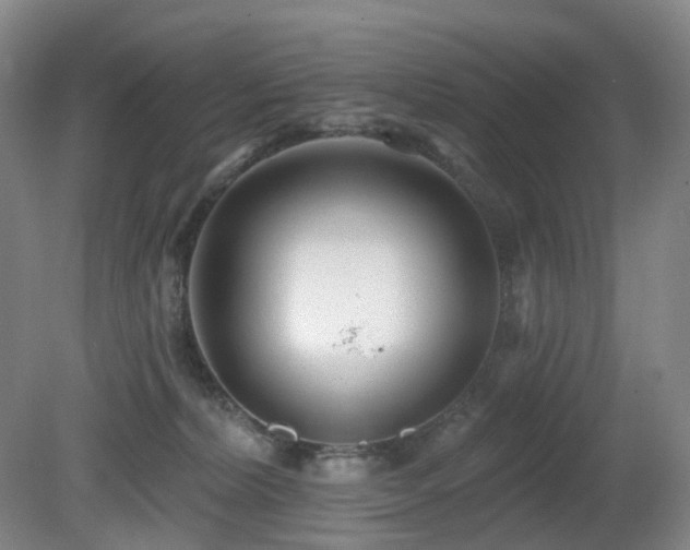 X0000081600228200701151347