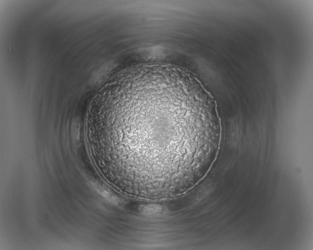 X0000081600230200701151347