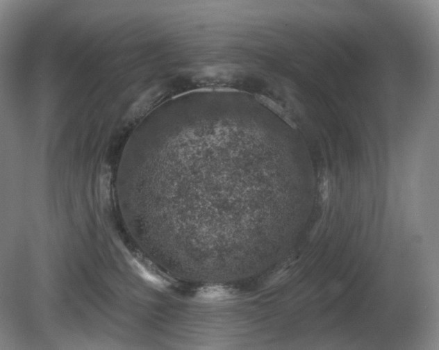 X0000081600231200701151347