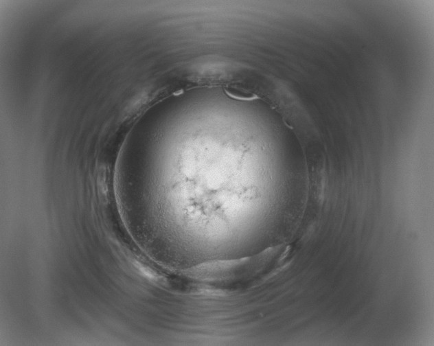 X0000081600232200701151347