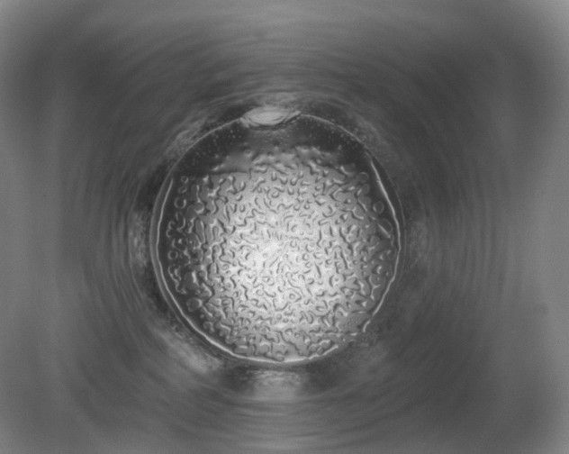 X0000081600234200701151347