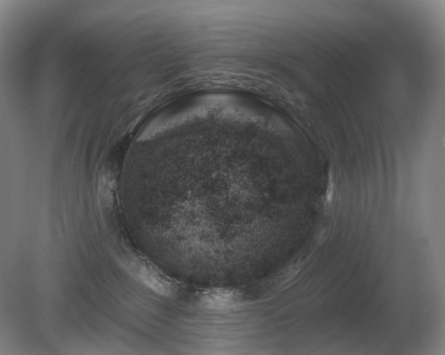 X0000081600235200701151347