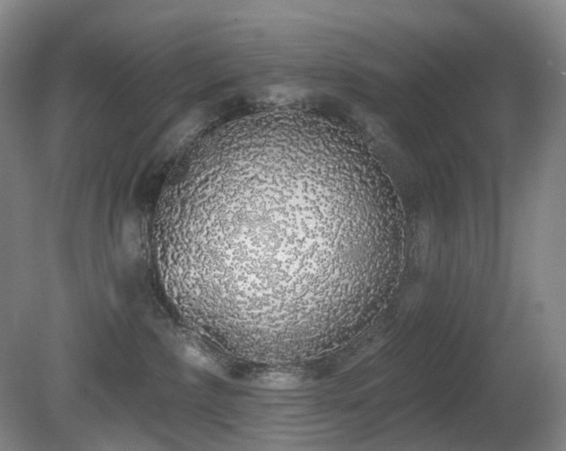 X0000081600236200701151347