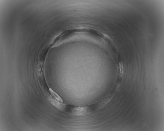 X0000081600237200701151347