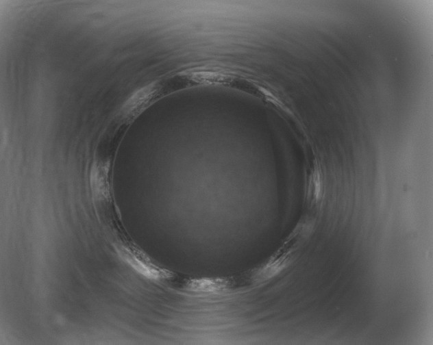 X0000081600239200701151347