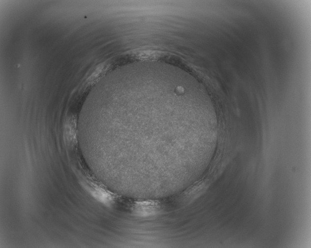 X0000081600240200701151347