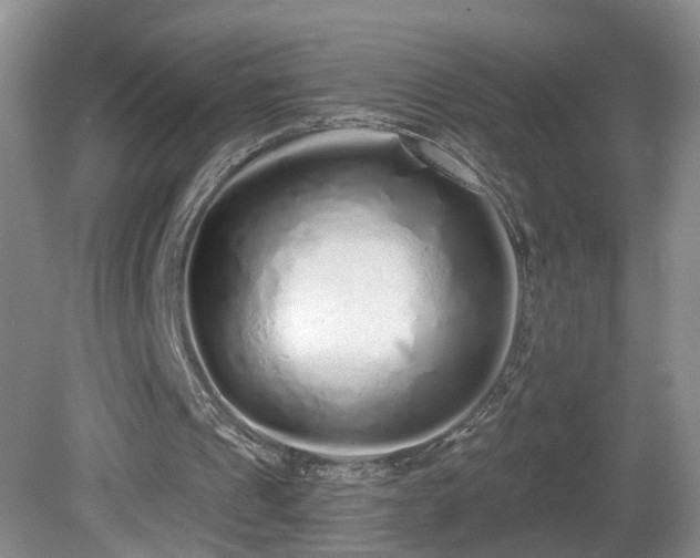 X0000081600241200701151346