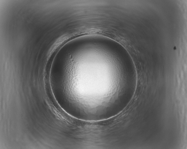 X0000081600242200701151346