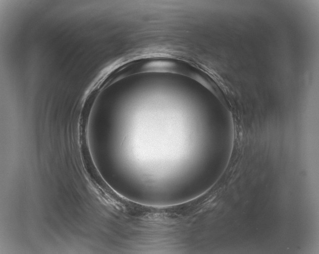 X0000081600244200701151346