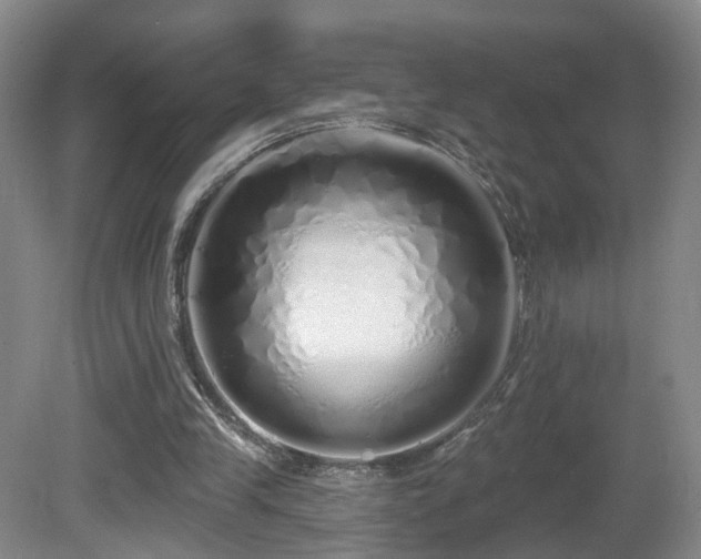 X0000081600245200701151346