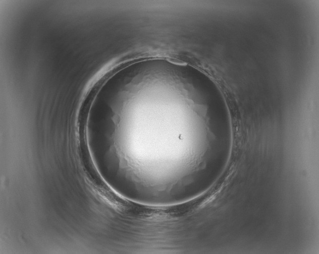 X0000081600246200701151346