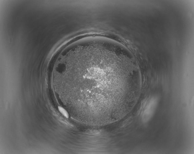 X0000081600247200701151346